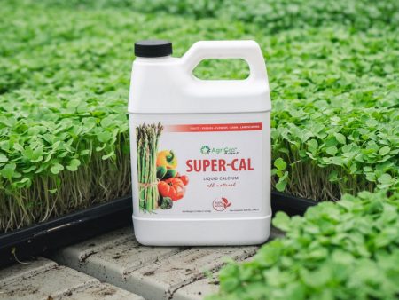 Super-Cal Liquid Calcium Online Sale