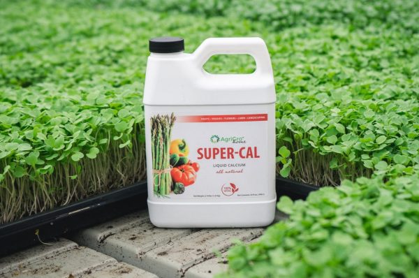 Super-Cal Liquid Calcium Online Sale