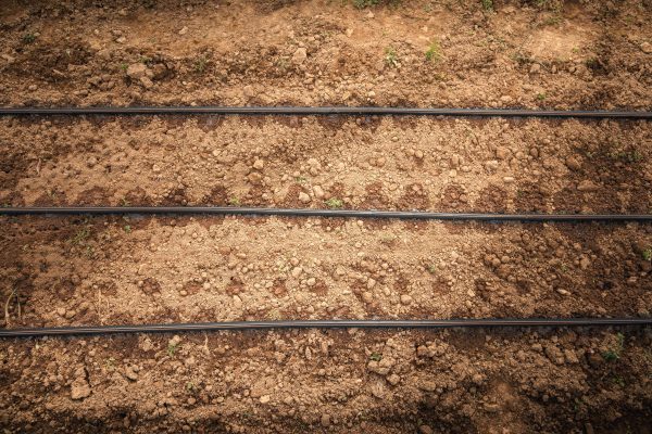 Drip Irrigation For Cheap