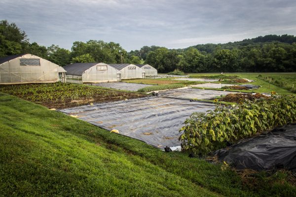 Silage Tarp on Sale