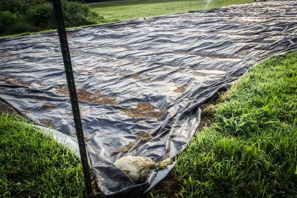 Silage Tarp on Sale