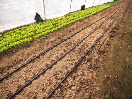 Drip Irrigation For Cheap