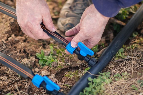 Drip Irrigation For Cheap