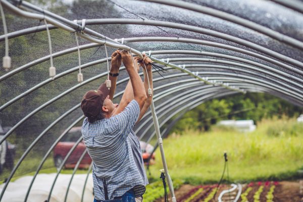 Overhead Irrigation For Cheap