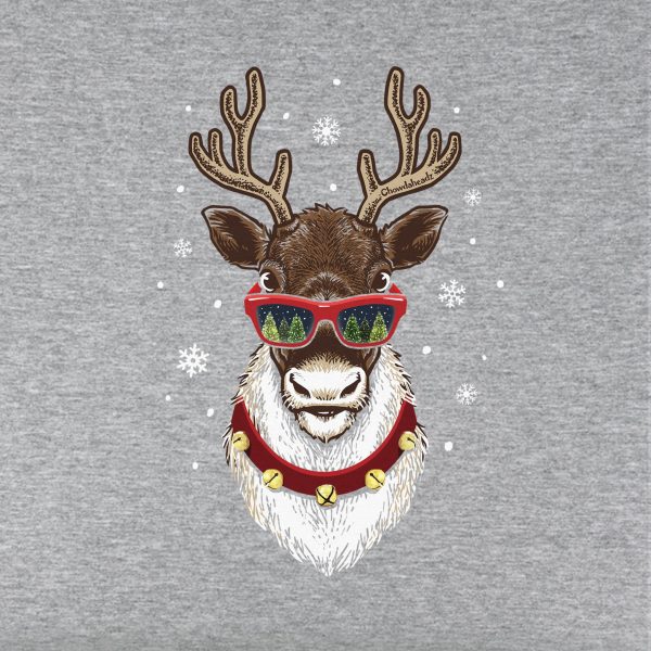 Cool Christmas Reindeer Youth Hoodie Online now