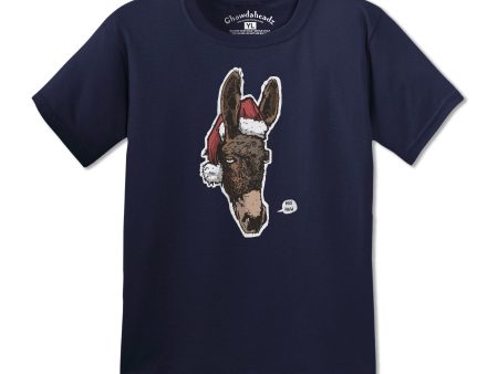 Holiday Donkey Youth T-Shirt For Discount