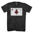 Buffalo Plaid Maine Flag T-Shirt Sale