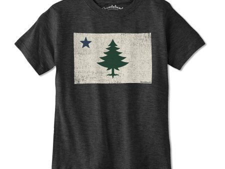 Vintage Maine Flag Youth T-shirt Discount