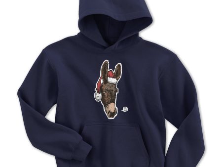 Holiday Donkey Youth Hoodie For Discount