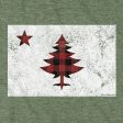 Buffalo Plaid Maine Flag T-Shirt Sale