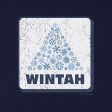 Wintah Snowflake Sign Youth Hoodie Discount