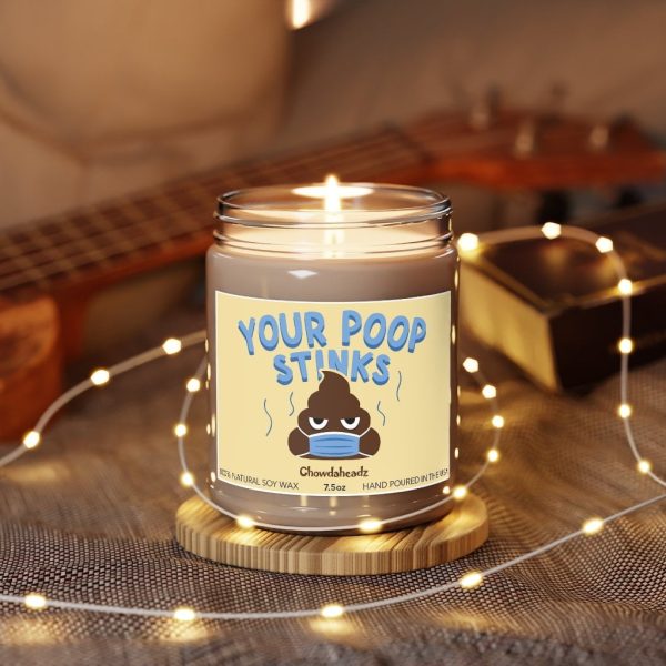 Your Poop Stinks 9oz Candle Sale