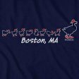 Boston Ducks On The Common T-Shirt Supply