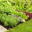 25 Pack Rustproof Decorative Garden Fence Set Hot on Sale