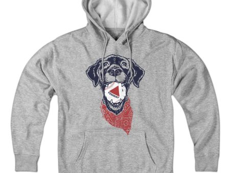 Fenway Dog Hoodie Cheap