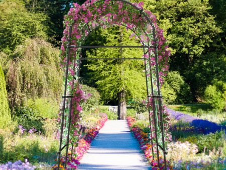 7.5 Feet Garden Arch Trellis with PE Coated Metal Structure Online Hot Sale