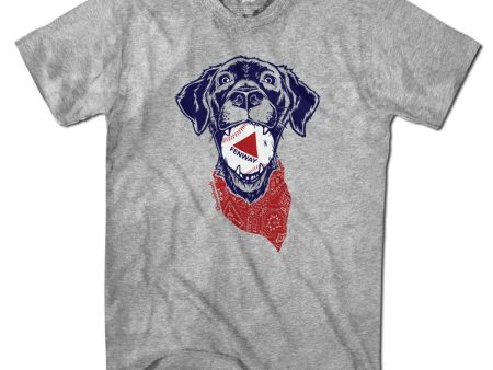 Fenway Dog T-Shirt Sale