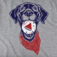 Fenway Dog T-Shirt Sale