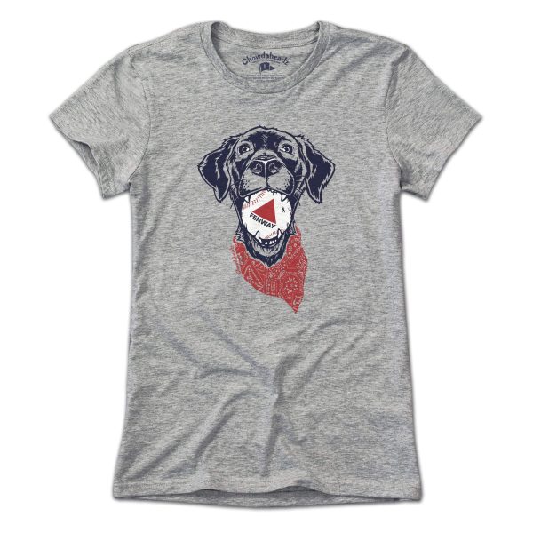 Fenway Dog T-Shirt Sale