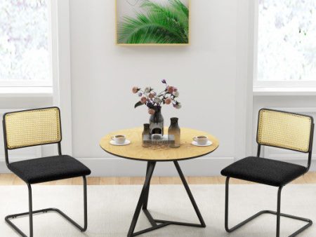 2 Pieces Mid-Century Modern Dining Chair with Cantilever Design-Black on Sale