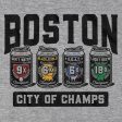 Boston 4 Pack Champions Hoodie Online now