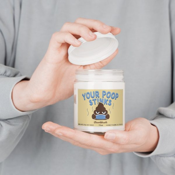 Your Poop Stinks 9oz Candle Sale