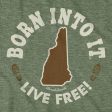 Born Into It New Hampshire T-Shirt For Cheap