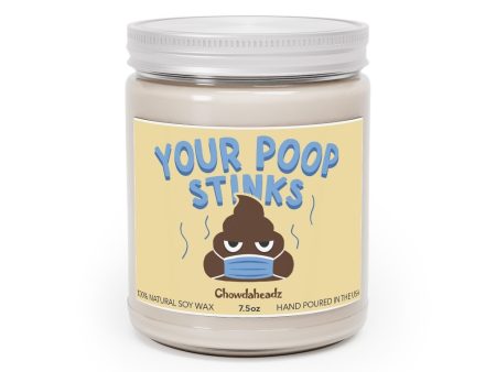 Your Poop Stinks 9oz Candle Sale