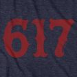 Boston 617 Team Spirit T-Shirt Supply