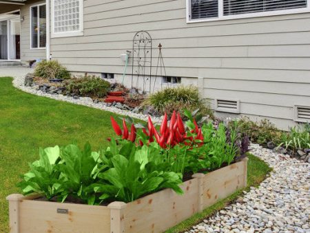 Wooden Raised Garden Bed Outdoor for Vegetables Flowers Fruit Sale