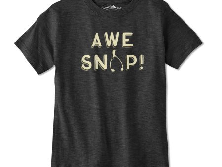 Awe Snap! Youth T-Shirt Online now