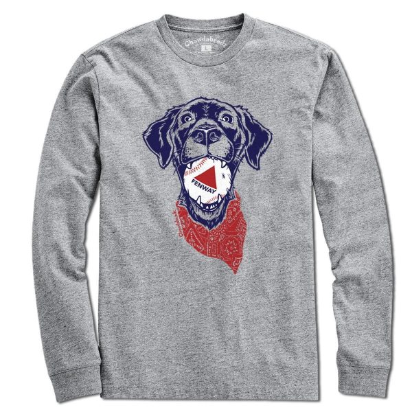 Fenway Dog T-Shirt Sale